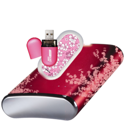 花纹系统桌面<a href=http://sc.zlcool.com/tubiao/ target=_blank class=infotextkey>图标</a>下载