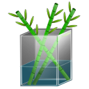 精美水晶系统<a href=http://sc.zlcool.com/tubiao/ target=_blank class=infotextkey>图标</a>