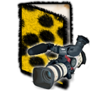 系统桌面<a href=http://sc.zlcool.com/tubiao/ target=_blank class=infotextkey>图标</a>下载
