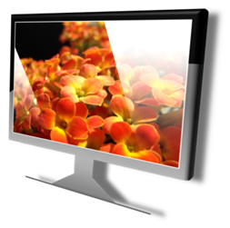 Vista系统<a href=http://sc.zlcool.com/tubiao/ target=_blank class=infotextkey>图标</a>下载