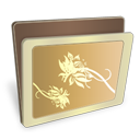 贵族金灿系统<a href=http://sc.zlcool.com/tubiao/ target=_blank class=infotextkey>图标</a>