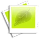 黄白鲜明系统<a href=http://sc.zlcool.com/tubiao/ target=_blank class=infotextkey>图标</a>