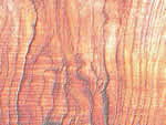 文件:pic070.jpg  <br>  尺寸:150 × 113  