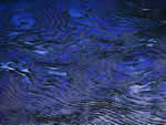 文件:pic052.jpg  <br>  尺寸:150 × 113  