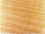文件:pic067.jpg  <br>  尺寸:150 × 113  