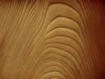 文件:pic087.jpg  <br>  尺寸:150 × 113  