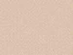 文件:pic041.jpg  <br>  尺寸:150 × 113  