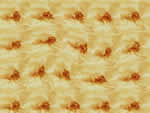 文件:pic076.jpg  <br>  尺寸:150 × 113  