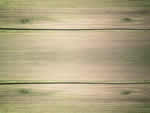 文件:pic063.jpg  <br>  尺寸:150 × 113  