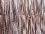 文件:pic082.jpg  <br>  尺寸:150 × 113  