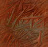 文件:160.jpg  <br>  尺寸:100 × 97  