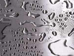 文件:pic294.jpg  <br>  尺寸:150 × 113  