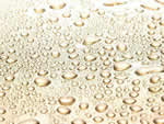 文件:pic288.jpg  <br>  尺寸:150 × 113  