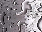 文件:pic295.jpg  <br>  尺寸:150 × 113  