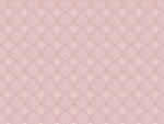 文件:pic048.jpg  <br>  尺寸:150 × 113  