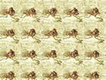 文件:pic077.jpg  <br>  尺寸:150 × 113  