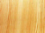文件:pic081.jpg  <br>  尺寸:150 × 113  