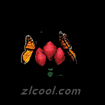 ·ÉÎèµÄºûµûgif¶¯Ì¬Í¼Æ¬