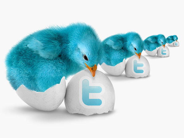 Blue-Bird-Twitter-Icon-Pack-600.jpg