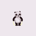 可爱的小熊猫图片
