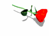 564e6a08e09b489426d7eda9e057e5eb.gif