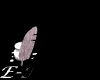 各种导航链接<a href=http://sc.zlcool.com/tubiao/ target=_blank class=infotextkey>图标</a> 