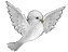 飞舞 起跳的小鸟gif