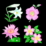 漂亮的花朵gif图片