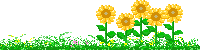 花朵花瓣动态gif线条