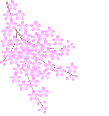 花朵花瓣动态gif线条