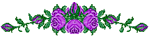 花朵花瓣动态gif线条
