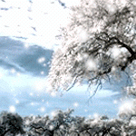 雨景 雪景gif图片