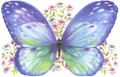 「蝴蝶閃圖」的圖片搜尋結果