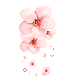 花花挂饰图片
