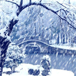 下大雪的gif动态图片