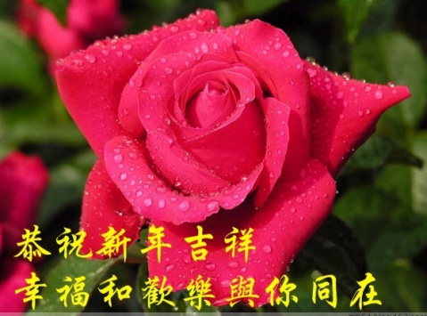 迎新春GIF动态图集 - 理睬博客