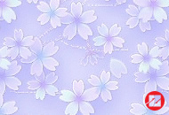 彩色花瓣网页背景素材大全